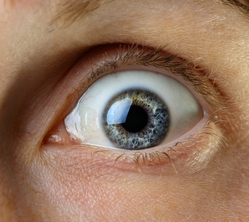 Image via. Shutterstock