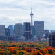 skyline-with-fall-colours