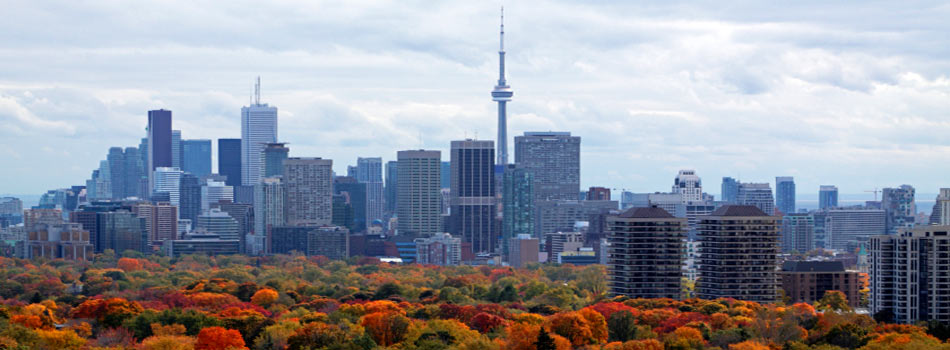 skyline-with-fall-colours