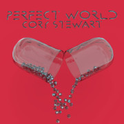 Perfect-World-Red-Pill-(Cover-Art)